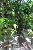 Little Corn Beach and Bungalow