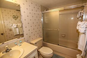 9462royalpel173rptco - Royal Pelican 173