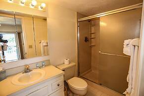 9462royalpel173rptco - Royal Pelican 173