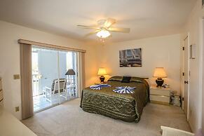 9462royalpel173rptco - Royal Pelican 173