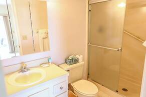 9462royalpel173rptco - Royal Pelican 173