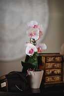 Sima Hotel Kuta Lombok