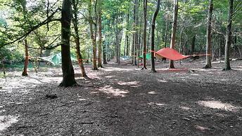 Future is Nature Playground