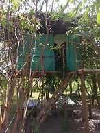 Mida Creek Nature Camp