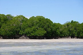 Mida Creek Nature Camp