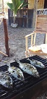 Mida Creek Nature Camp