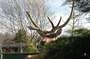 Polonezköy Country Club & Accommodation in the Wildlife Park