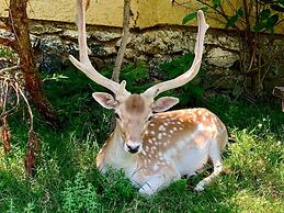 Polonezköy Country Club & Accommodation in the Wildlife Park