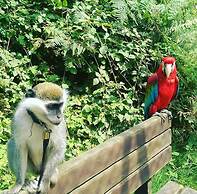 Polonezköy Country Club & Accommodation in the Wildlife Park