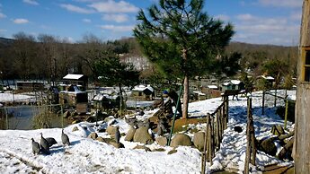 Polonezköy Country Club & Accommodation in the Wildlife Park