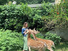Polonezköy Country Club & Accommodation in the Wildlife Park