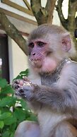Polonezköy Country Club & Accommodation in the Wildlife Park