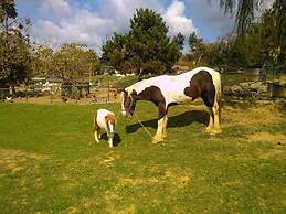 Polonezköy Country Club & Accommodation in the Wildlife Park