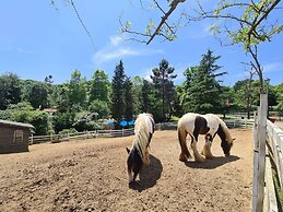 Polonezköy Country Club & Accommodation in the Wildlife Park