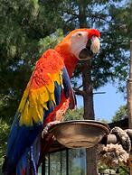 Polonezköy Country Club & Accommodation in the Wildlife Park