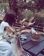 Polonezköy Country Club & Accommodation in the Wildlife Park