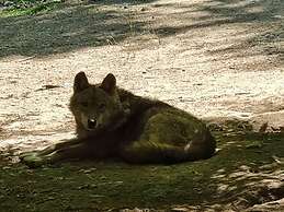 Polonezköy Country Club & Accommodation in the Wildlife Park