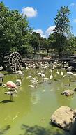 Polonezköy Country Club & Accommodation in the Wildlife Park
