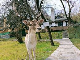 Polonezköy Country Club & Accommodation in the Wildlife Park