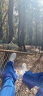Polonezköy Country Club & Accommodation in the Wildlife Park