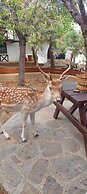 Polonezköy Country Club & Accommodation in the Wildlife Park