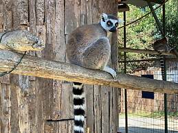 Polonezköy Country Club & Accommodation in the Wildlife Park