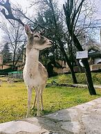 Polonezköy Country Club & Accommodation in the Wildlife Park