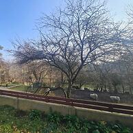 Polonezköy Country Club & Accommodation in the Wildlife Park