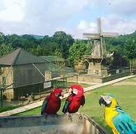 Polonezköy Country Club & Accommodation in the Wildlife Park