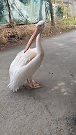 Polonezköy Country Club & Accommodation in the Wildlife Park