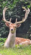 Polonezköy Country Club & Accommodation in the Wildlife Park