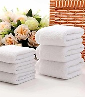 Guesthouse Vladimir & Ana