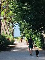 Camping Campo al Fico