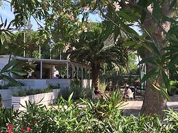 Camping Campo al Fico