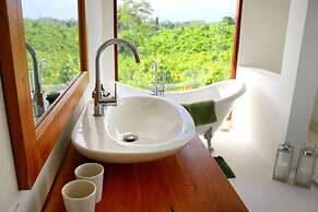 Bobos Cinnamon Estate  Sri Lanka