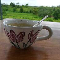 Bobos Cinnamon Estate  Sri Lanka