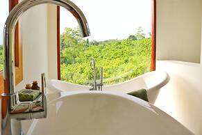 Bobos Cinnamon Estate  Sri Lanka