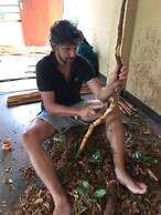 Bobos Cinnamon Estate  Sri Lanka