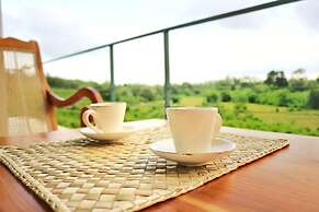 Bobos Cinnamon Estate  Sri Lanka