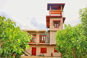 Bobos Cinnamon Estate  Sri Lanka