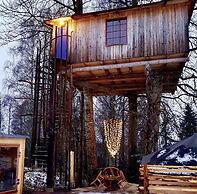 Treehouse Magpies Nest With Bubble Pool