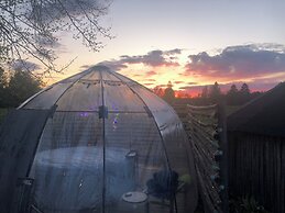 Treehouse Magpies Nest With Bubble Pool