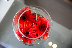 Velvet 2-bedroom Apartment Clock House - Hoddesdon