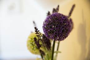 Velvet 2-bedroom Apartment Clock House - Hoddesdon