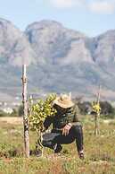 The Farmstead Franschhoek