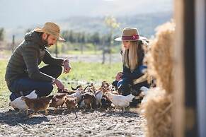 The Farmstead Franschhoek