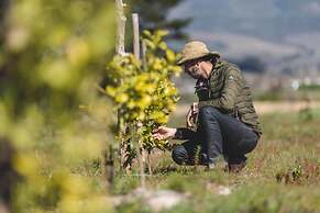 The Farmstead Franschhoek