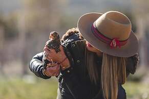 The Farmstead Franschhoek