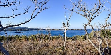 Tonosaki Bungalow & BBQ