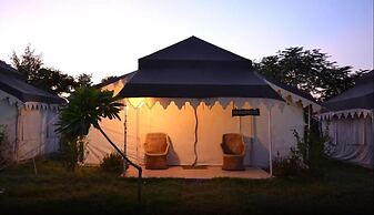 Tiger Queen Ranthambore